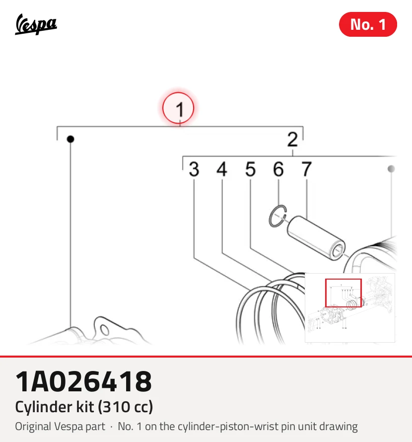 Cylinder kit (310 cc)