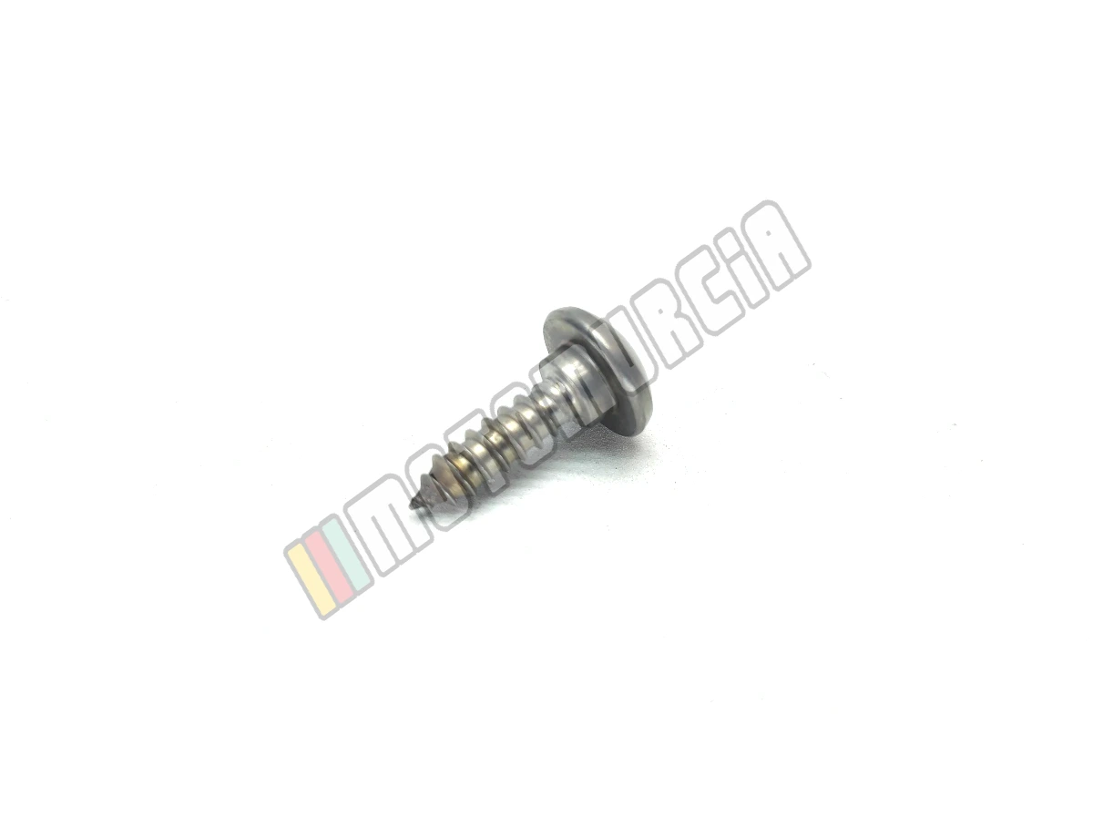 Linsenschraube 5,5x20 mm