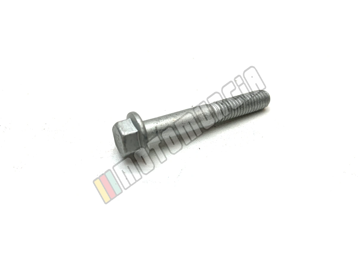 Tornillo con bridas
