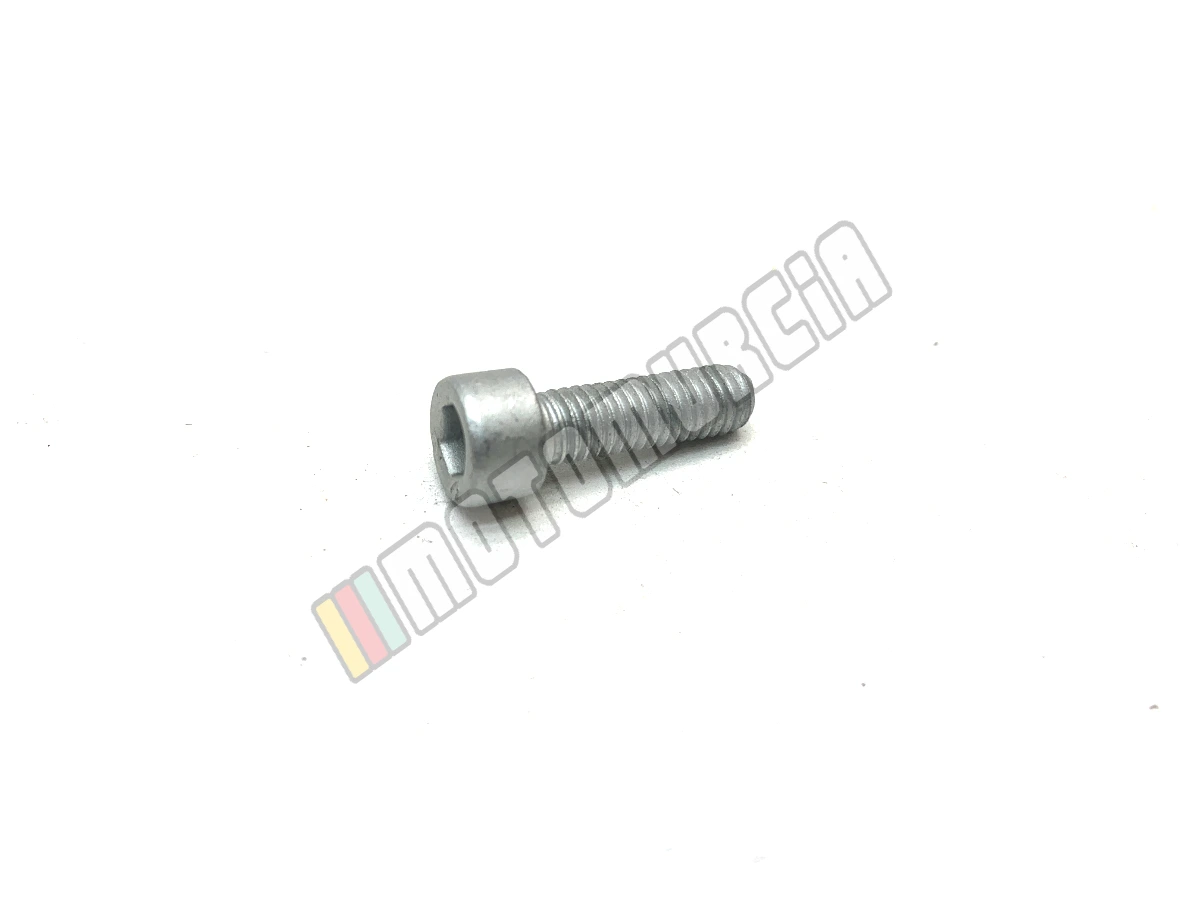 Vite M6X20