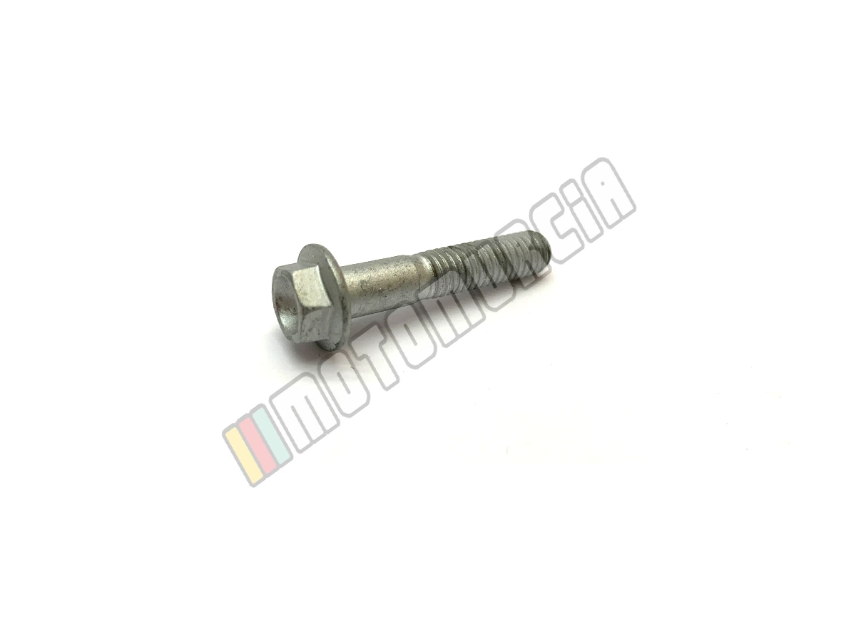 Schraube mit Flansch M6x30