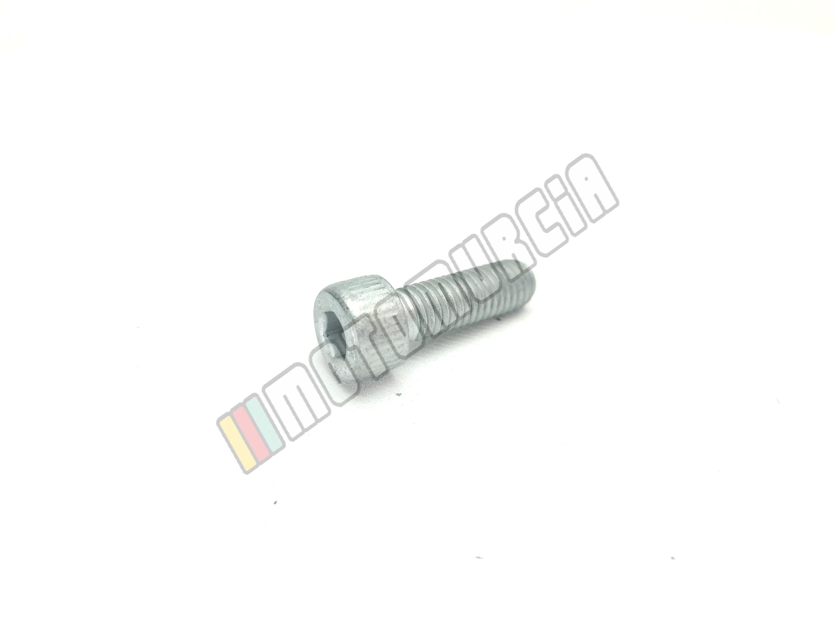 Tornillo M8X25