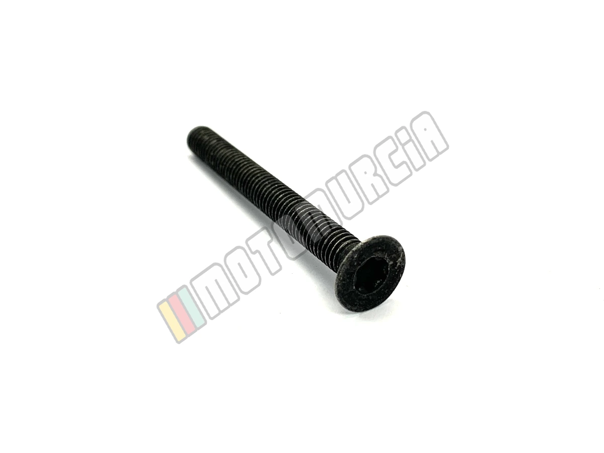 Torx Długość śruby: 55,0 cm, czarny
