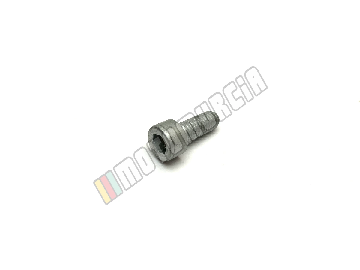 Vite M6X16
