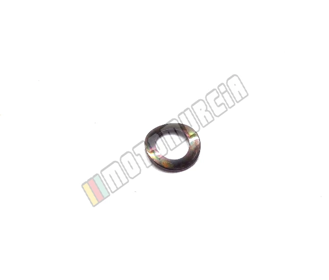 Anillo