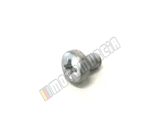 Tornillo de cabeza ovalada M4X6