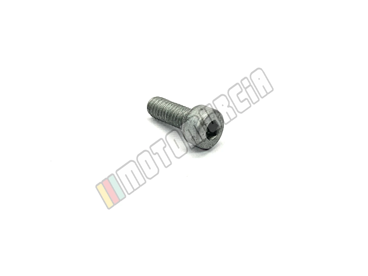 Vite M4X10