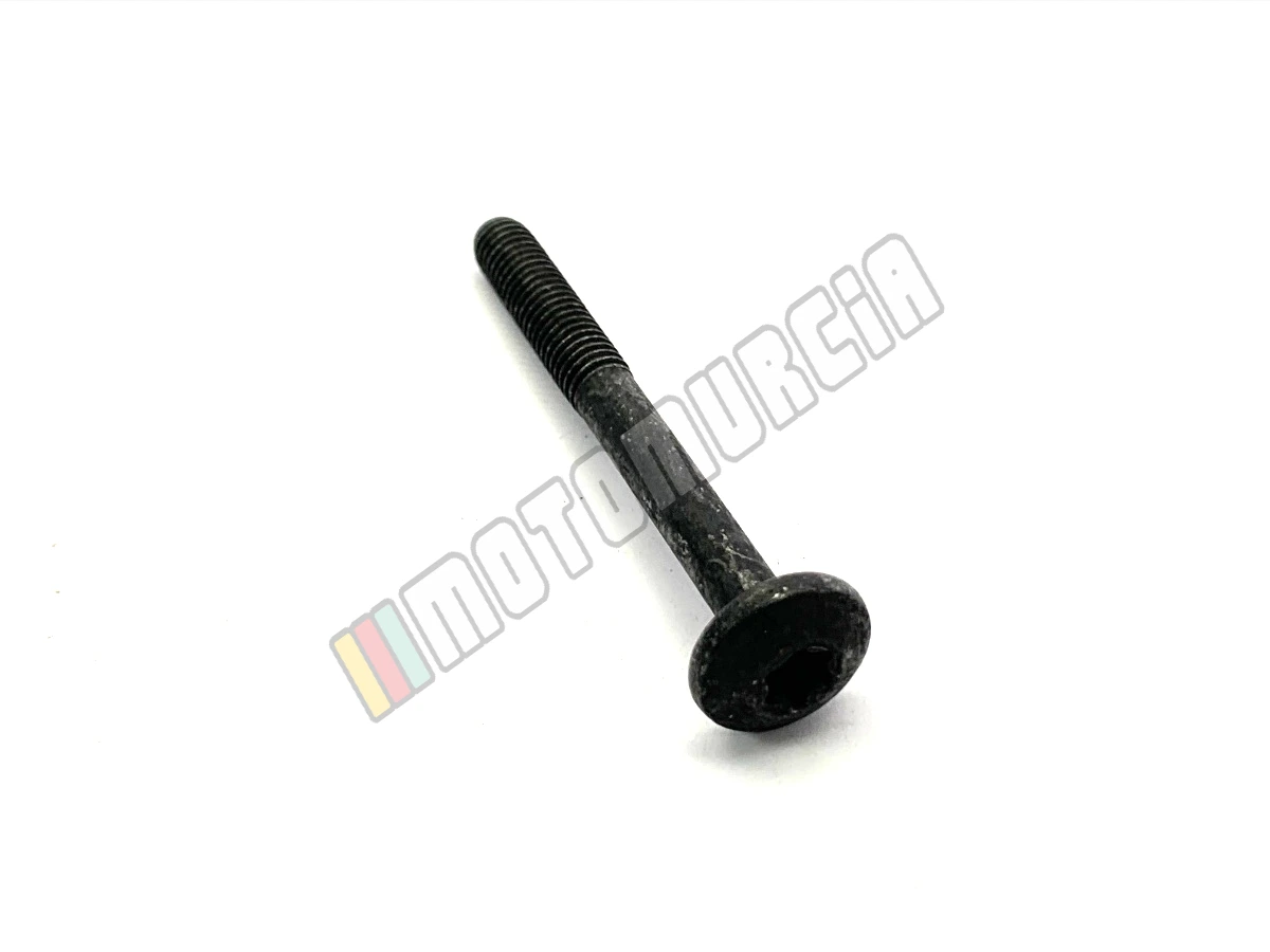 Vis Torx