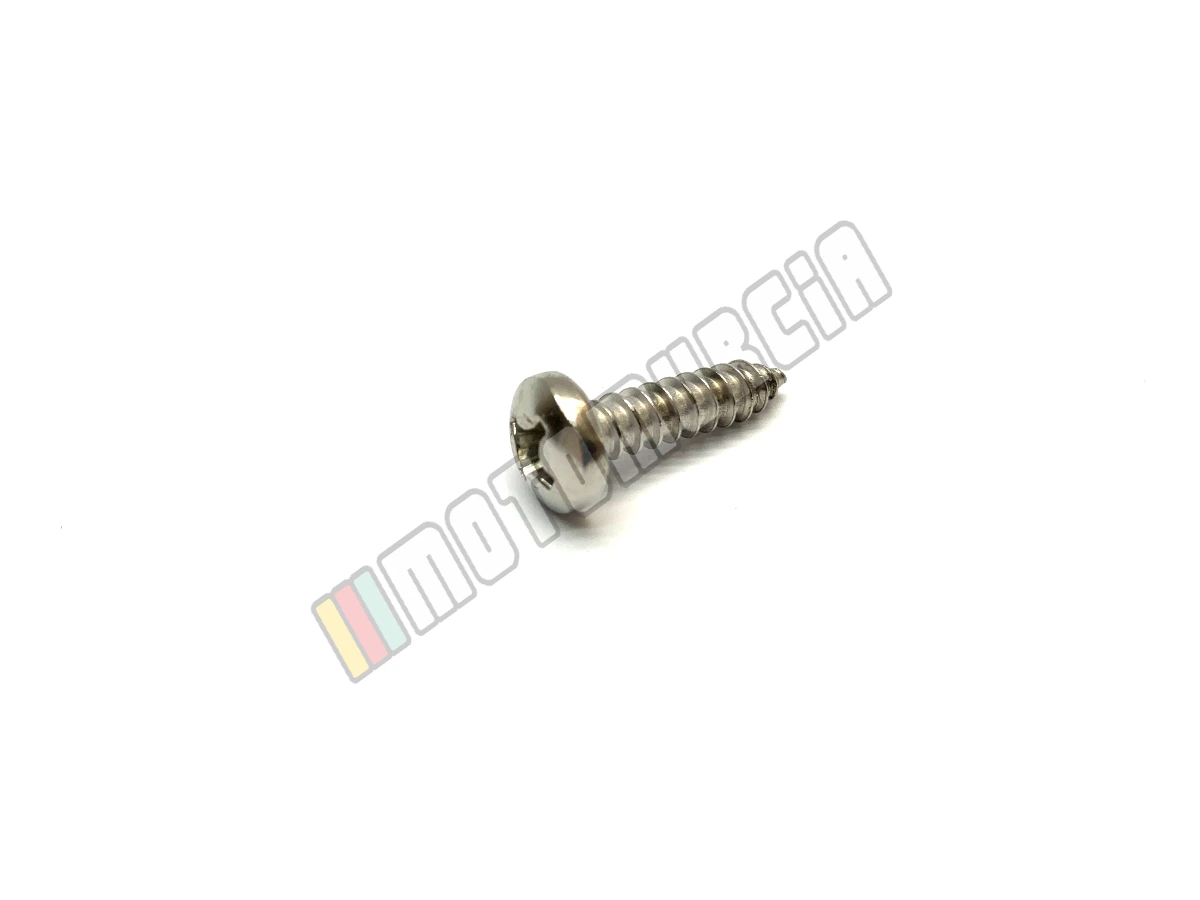Linsenschraube 5,5x22 mm