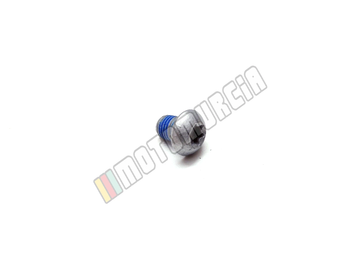 Vis Torx