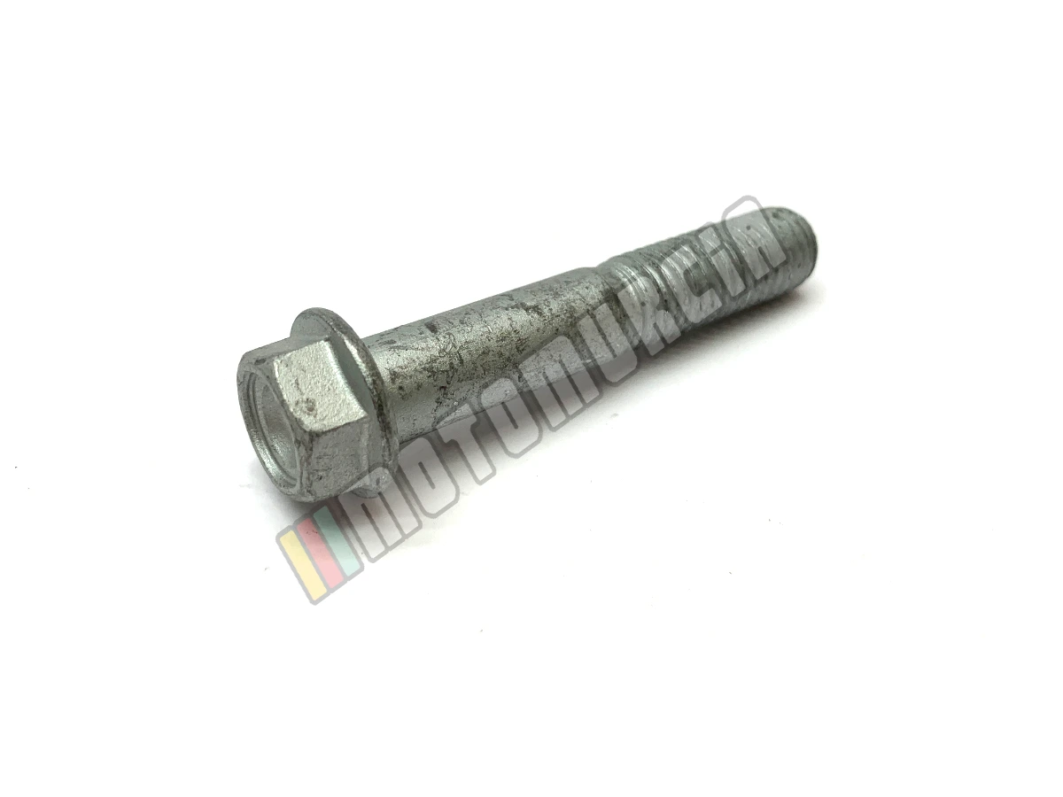 Vis avec bride M10x55