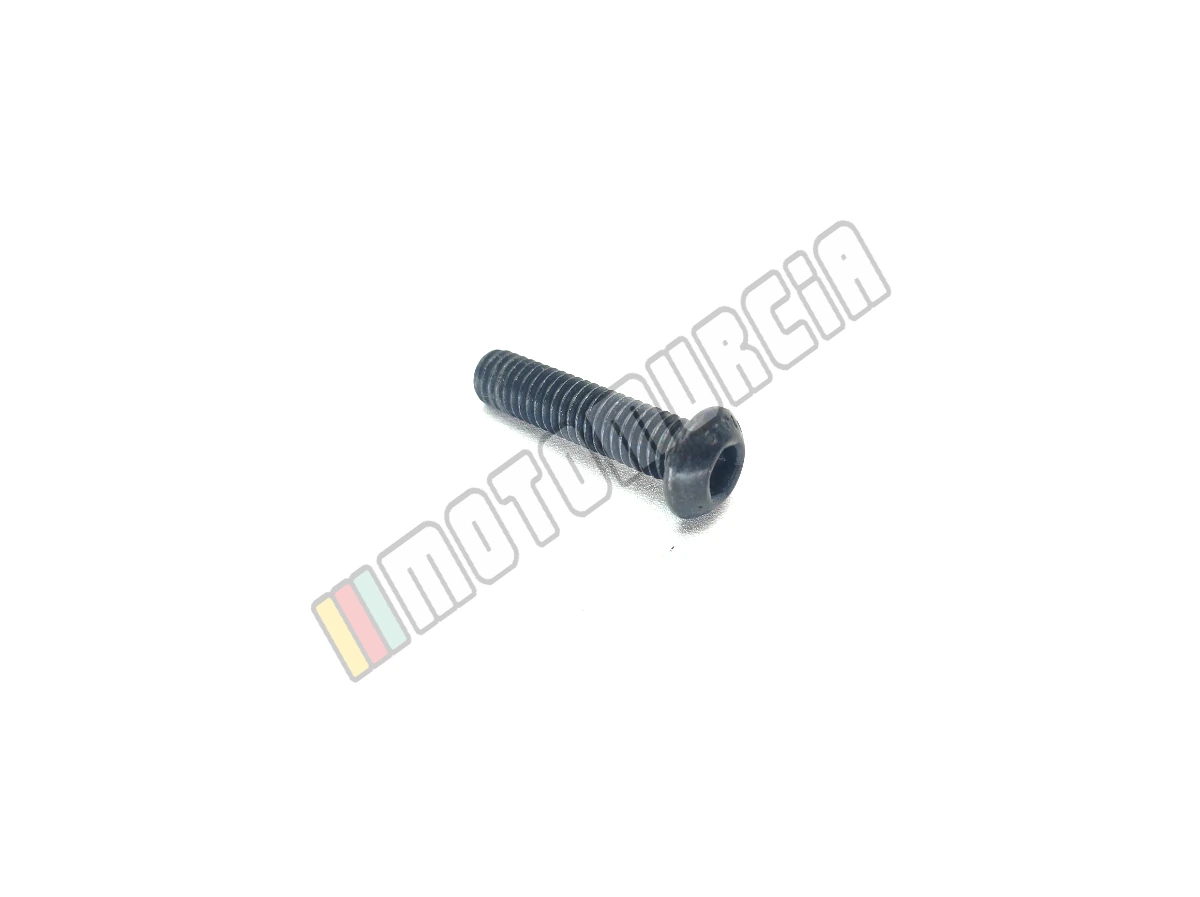 Vis M6x25