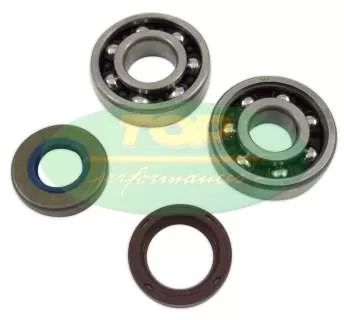 KIT 2 BEARINGS + 2 SPY GASKETS AM6