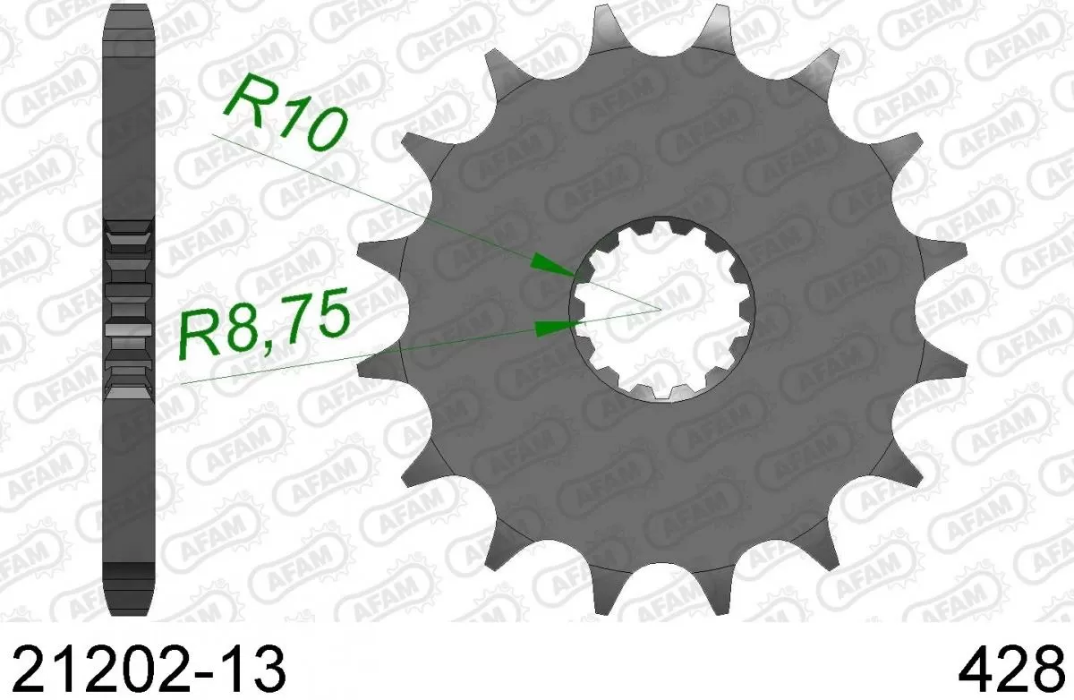 Pignone Anteriore 13T - 428