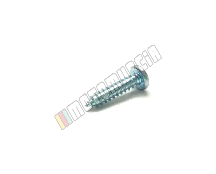 Tornillo de rosca 4,2x19 mm