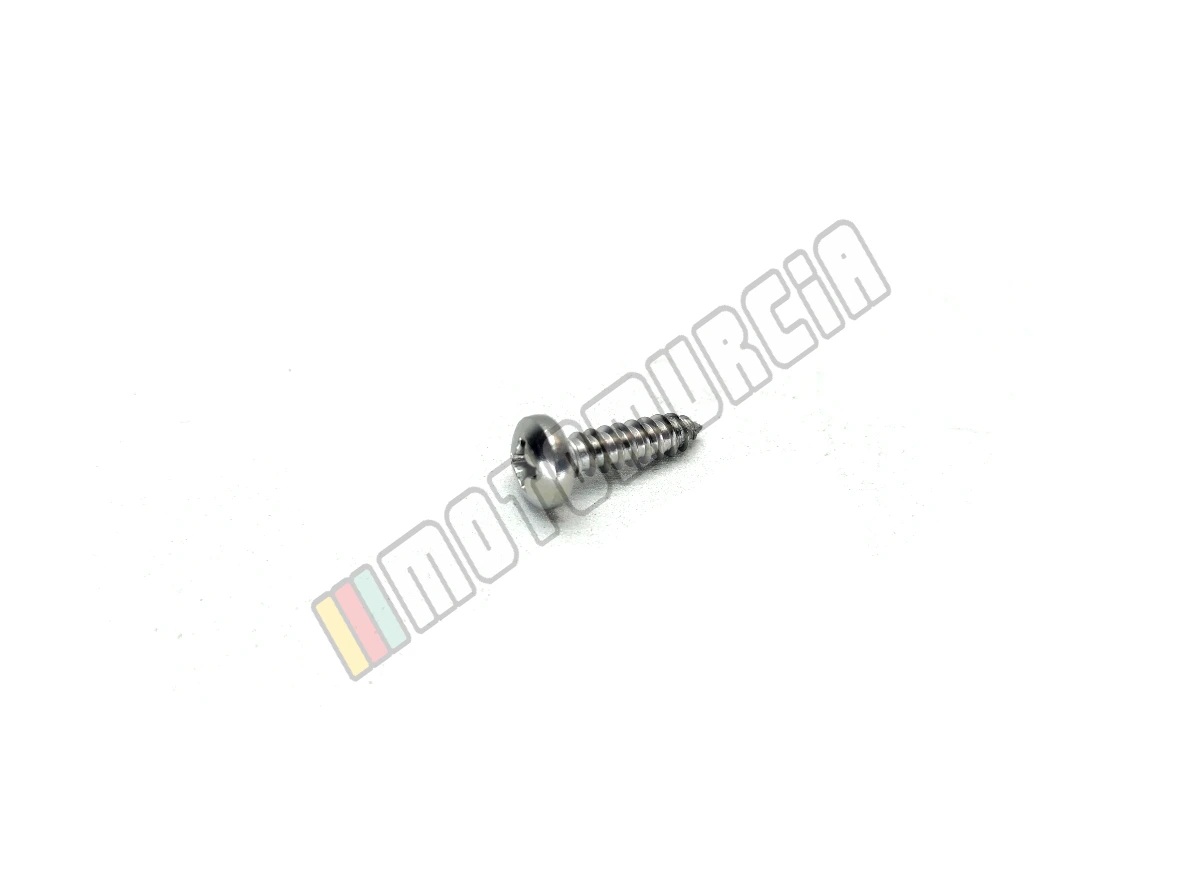 Tornillo ovalado