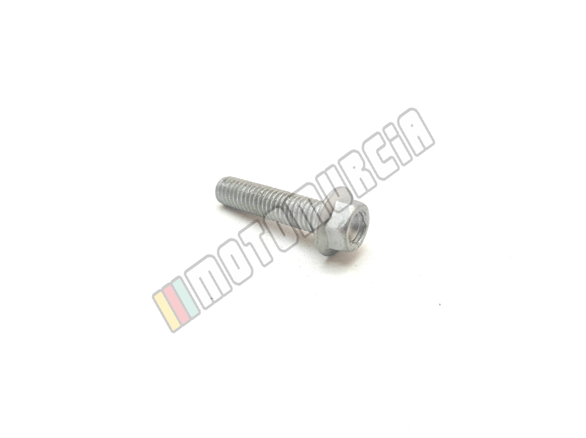 Schraube mit Flansch M6x25