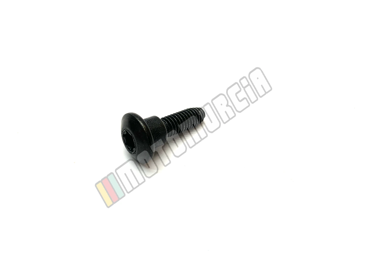 Tornillo M6X22