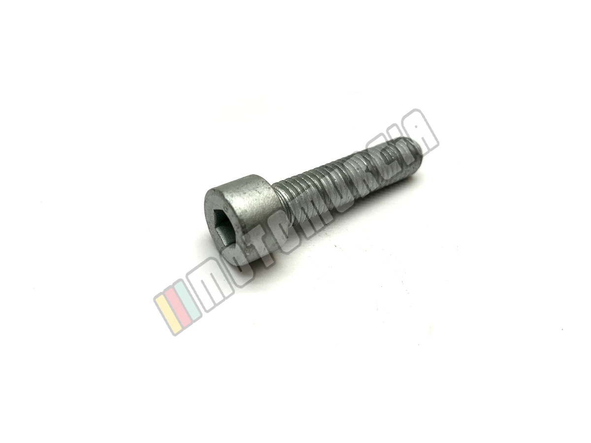 Vis M8x35
