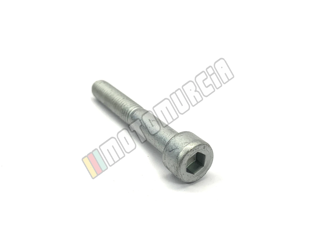 Vis M8x55