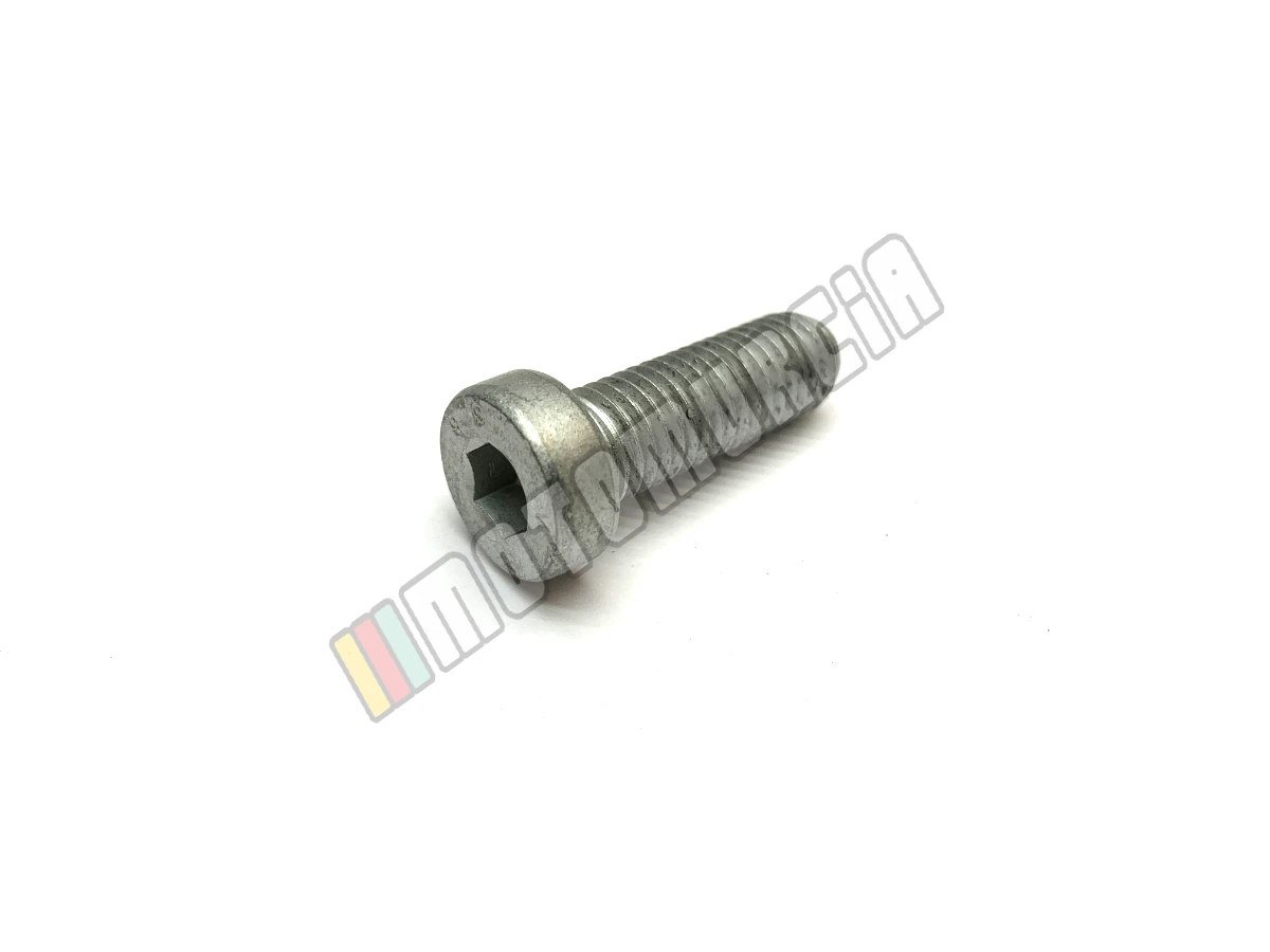 Vis M10x30
