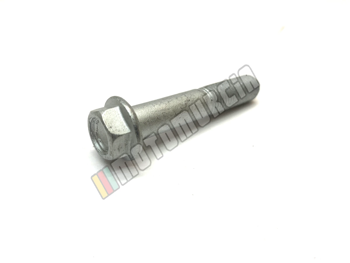 Vis avec bride M10x55