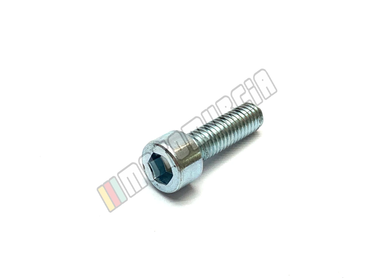 Vite M6X20