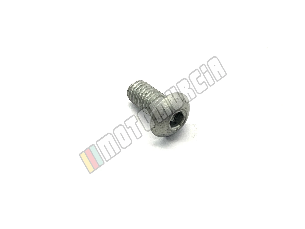 Vis M5x10