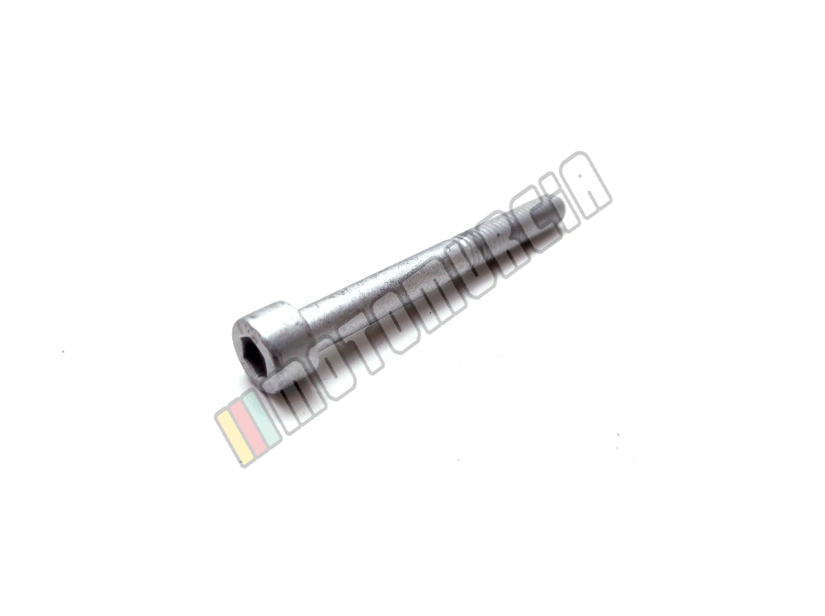 Vis M6x55