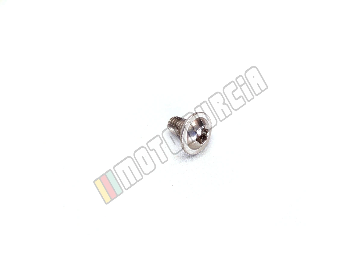 Vis Torx M6x10