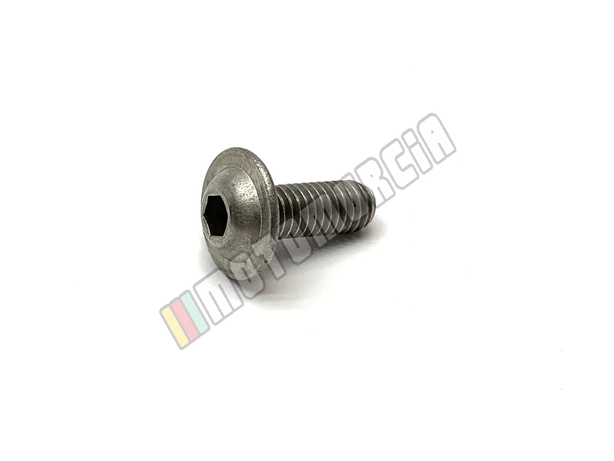 Vite M6X16