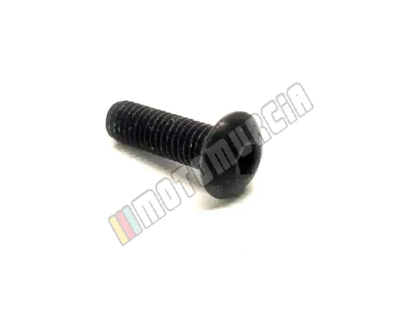 Vite M5X16
