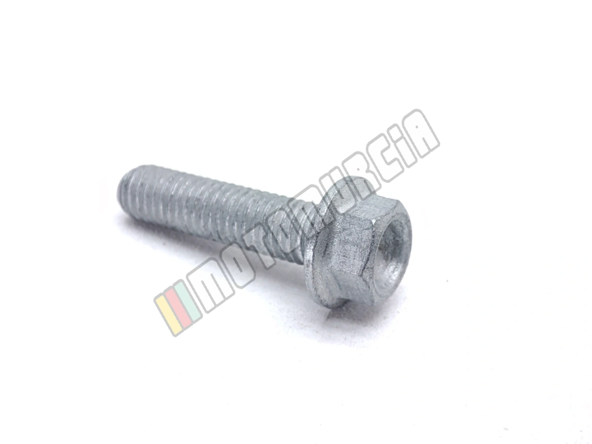 Schraube mit Flansch M5x20