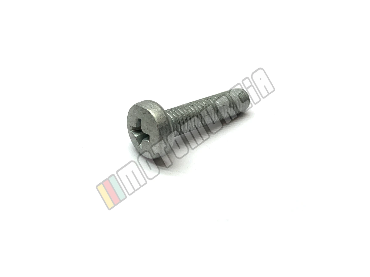 Vite M5X21