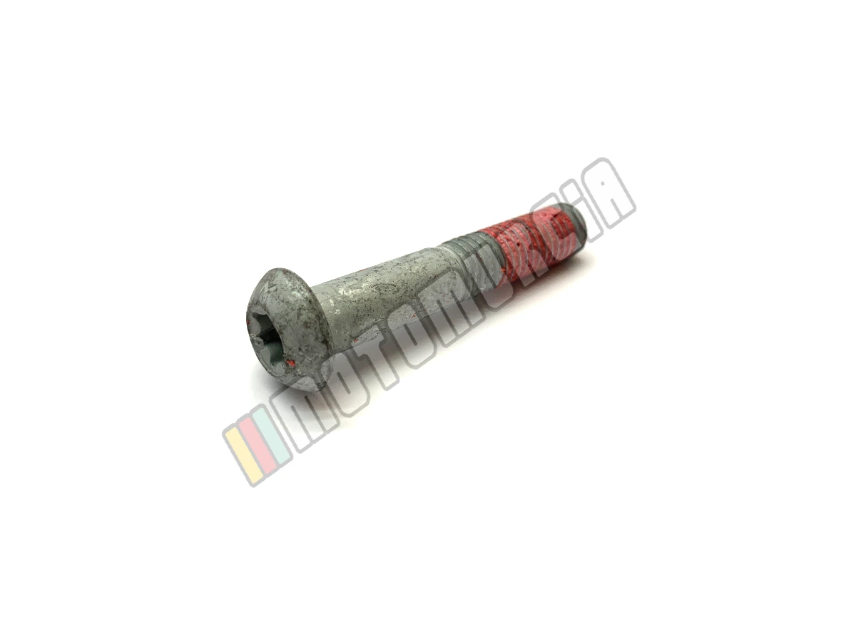 Vis Torx M10x55