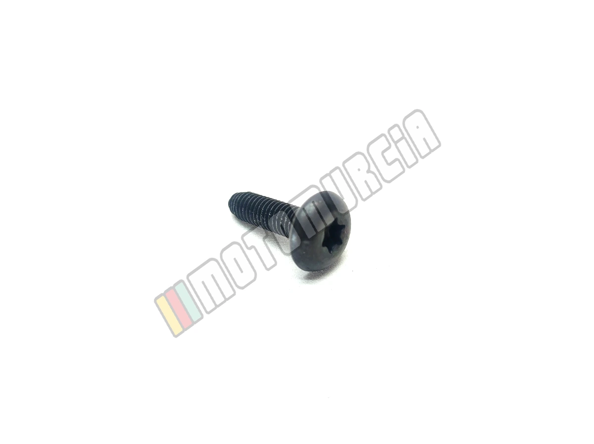 Śruba M6x22