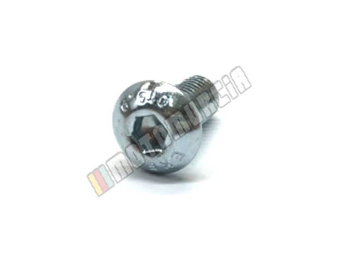 Tornillo M5X12
