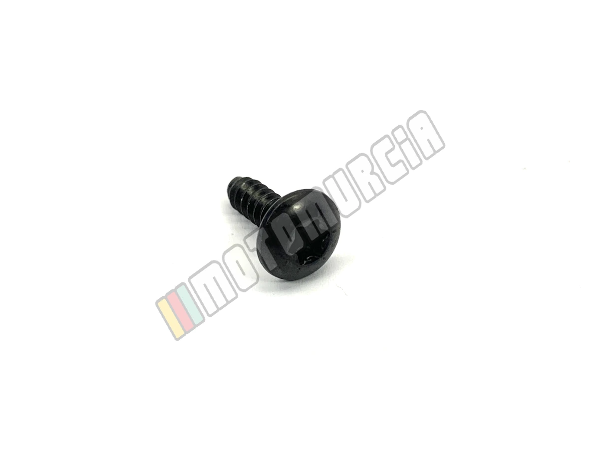 Tornillo de metal