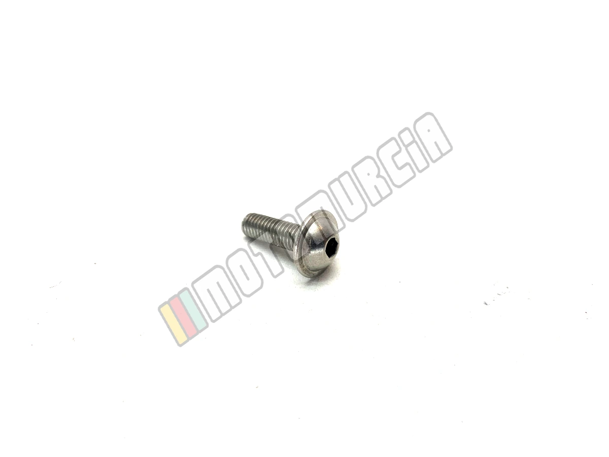 Tornillo con bridas M5X16