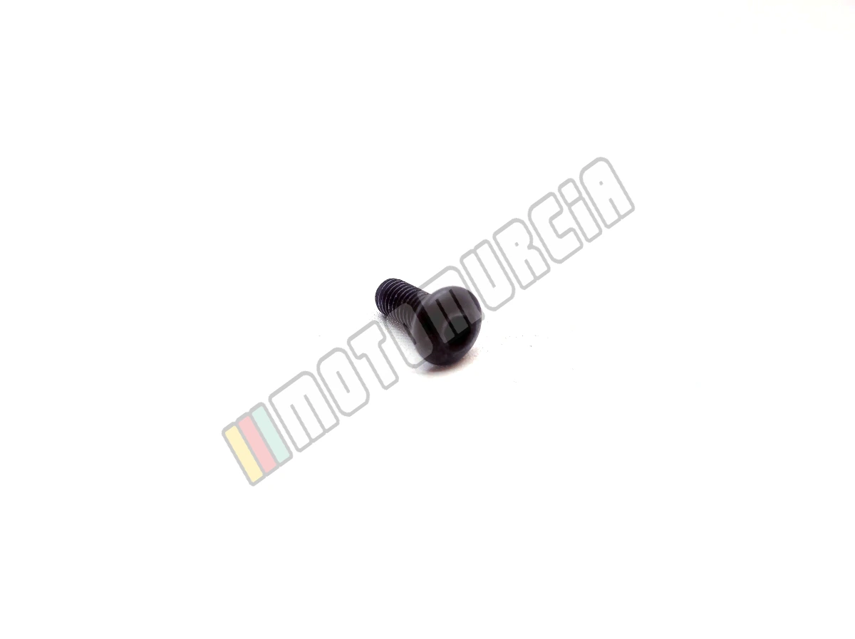 Tornillo M5X12