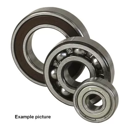 NSK Cuscinetto ruota 6004DDU
