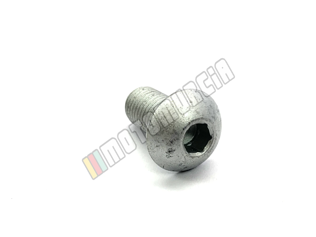 Vis M10x1.25