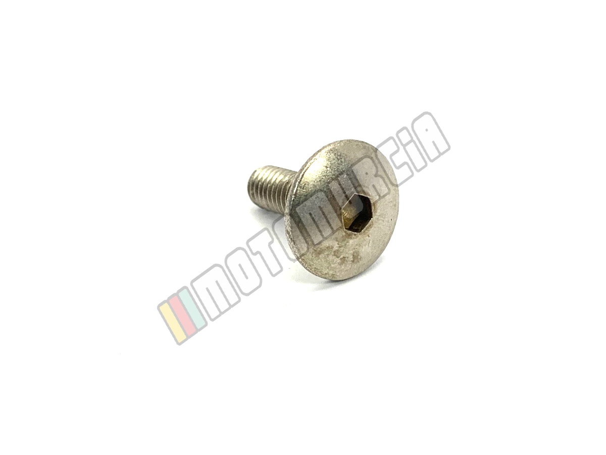 Vis M6x16, inox