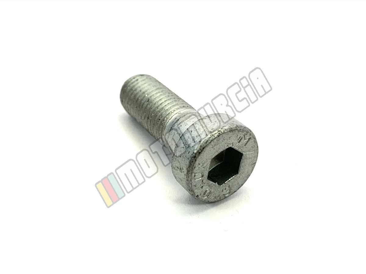 Vis M10x1.25
