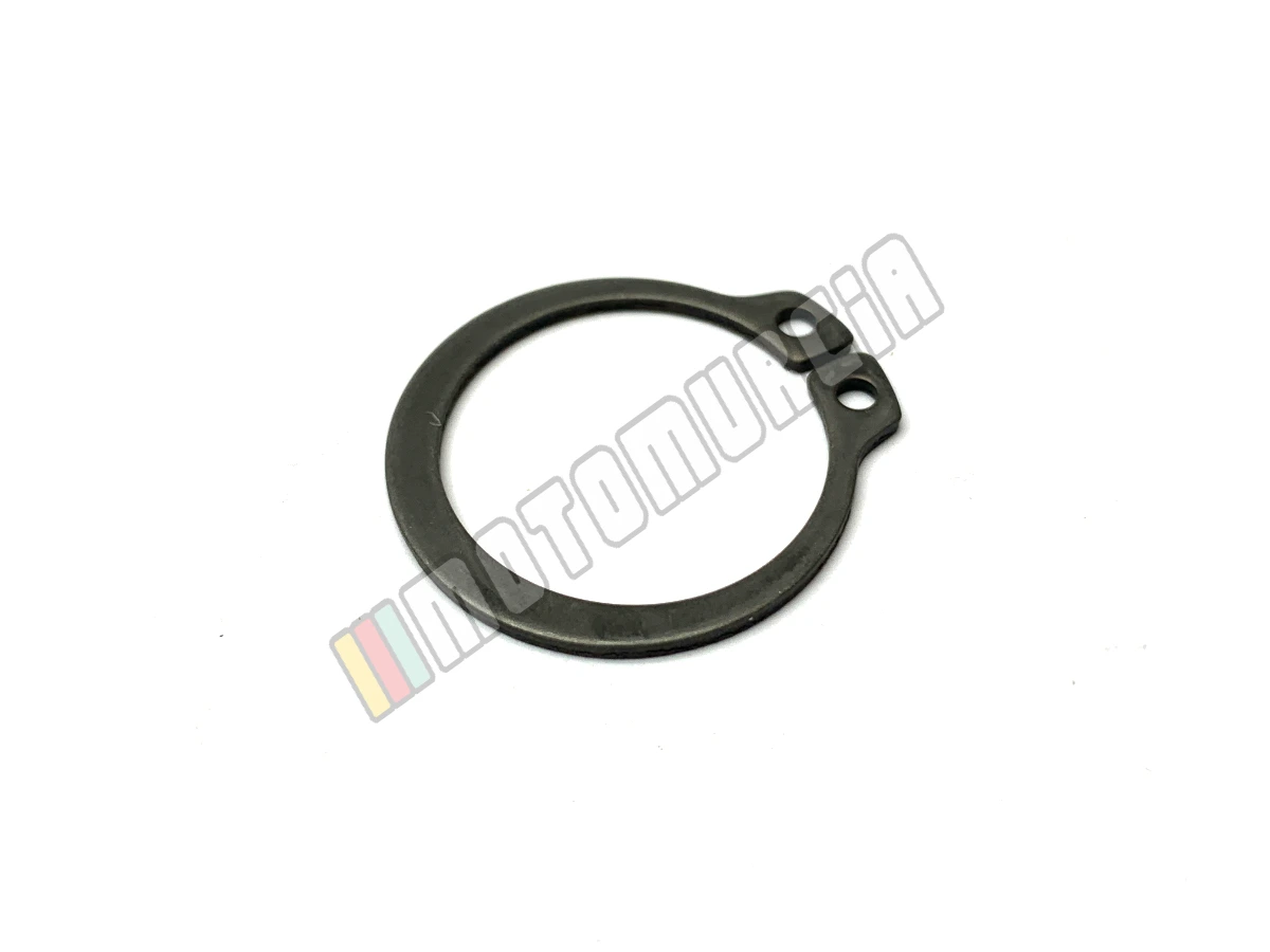 Anello elastico