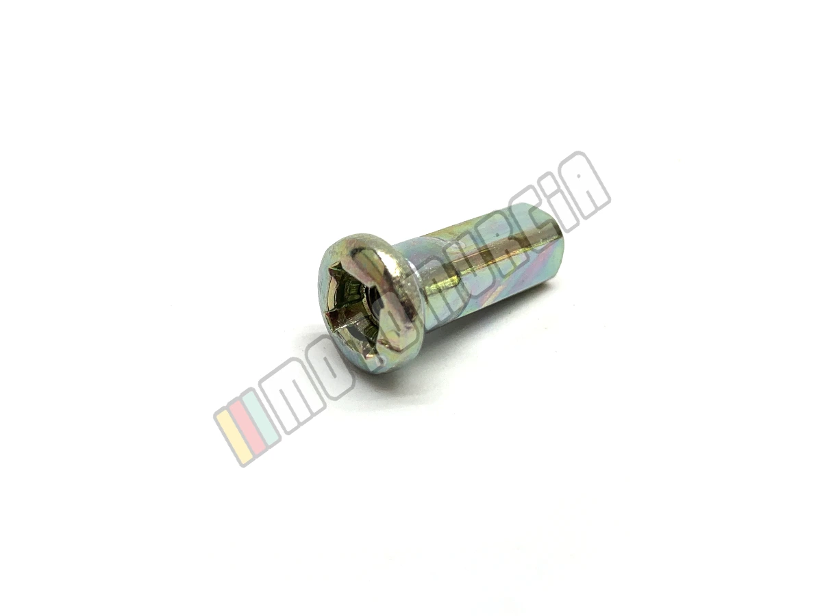 Écrous de rayon 3,50 mm