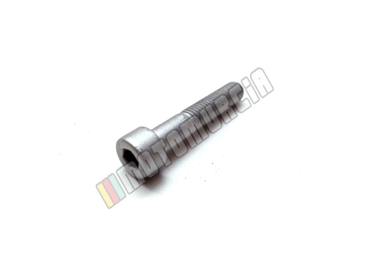 Vite M8X45