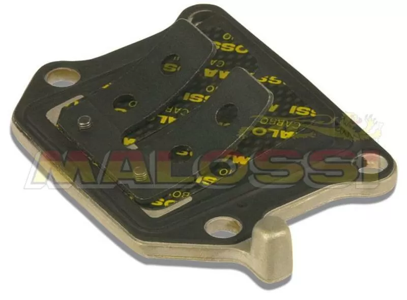 Caja láminas carbono Malossi MHR BWS/STUNT/SLIDER