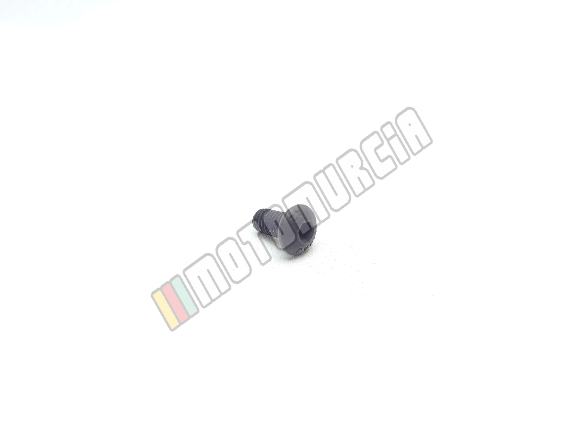 Vite M5X10