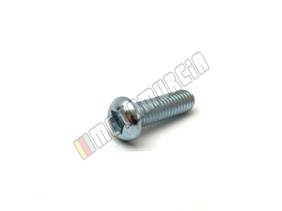 Vis Torx M6x20
